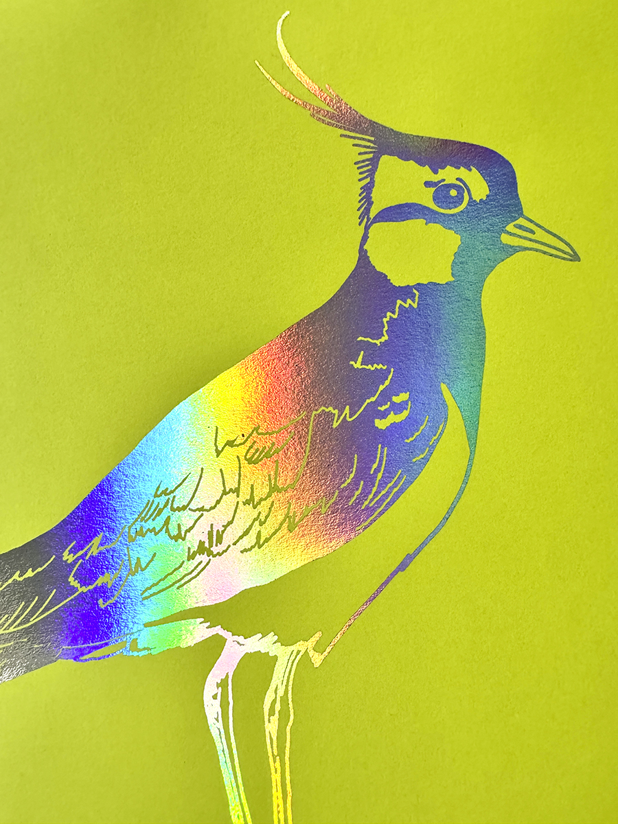 Albert Bartel Druckgrafik Glanzfolie Regenbogen Kiebitz