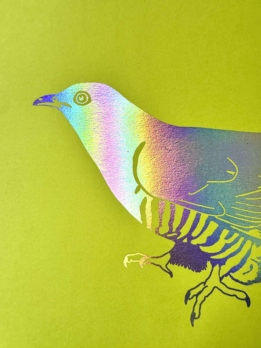 Albert Bartel Druckgrafik Glanzfolie Regenbogen Kuckuck