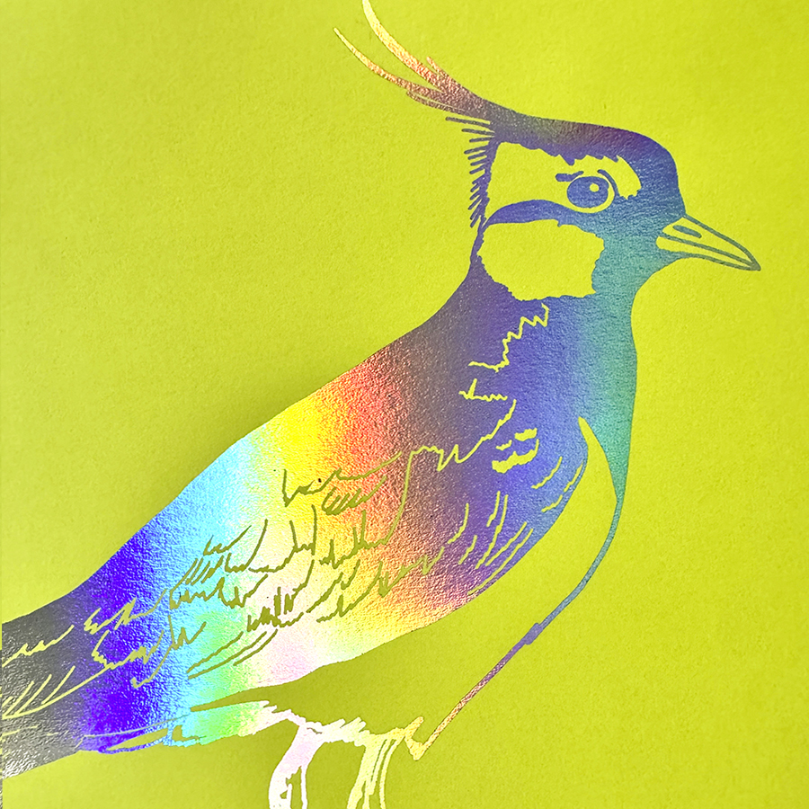 Albert Bartel Druckgrafik Glanzfolie Regenbogen Kiebitz