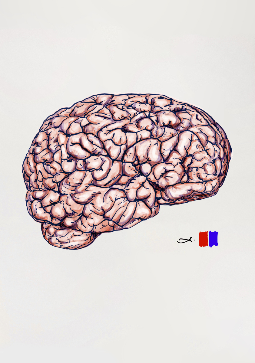 Albert Bartel Druckgrafik Risographie Gehirn